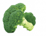 Broccoli Powder, Organic