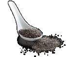 Chia Protein Powder, Organic