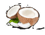 Coconut Milk Powder (Vegan), Organic &amp; Conventional