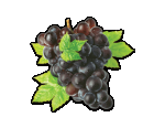 Grape Juice Powder, Organic