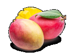 Mango Fruit Powder, Organic