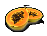 Papaya Juice Powder, Organic