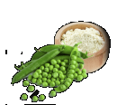 Pea Protein Powder 80%, Organic
