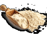 PlantPWR Protein Blend Organic unsweetened