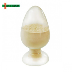 Organic Pea Protein Powder