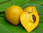 Lucuma Powder, Organic