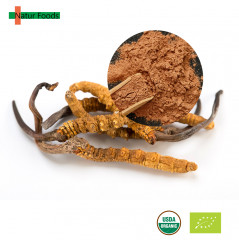 Organic Cordyceps Sinensis Extract 30% CS-4 Polysaccharide β-glucan