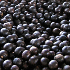 Acai Organic Powder