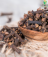 Organic Ceylon Cloves Whole