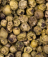 Organic Ceylon Dehydrated Green Peppercorns