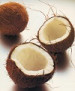CocOganic® Plus - Coconut Water Freeze Dried Powder Organic