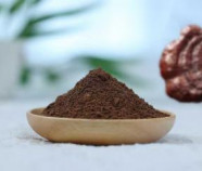 Organic Reishi Powder | Ganoderma Lucidum Extract Powder 1:1