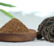 Organic Turkey tail Extract (12:1) | Coriolus Versicolor Extract