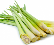 Organic Herb LEMON GRASS in Bulk from Sri Lanka