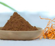 Organic Cordyceps militaris extract 4:1