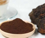 Organic Chaga mushroom Extract (8:1) | Inonotus Obliquus extract