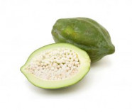 Organic Green Papaya Powder buy from Sri Lanka in Bulk Prices