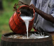 Organic Premium Kithul Sap in Bulk