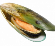 Green Lipped Mussel Powder Green Lipped Mussel Powder