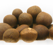 Green Tea Seed Oil Green Tea Seed Oil