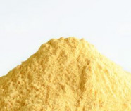 Lucuma Organic Premium Powder - REVdried (Beyond Freeze dried)