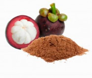 Organic Mangosteen Powder - Premium Fruit Powder in Bulk from Ceylon