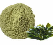 Organic kelp powder Seaweed Extract