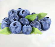 Blueberry Juice Powder Organic Blueberry Juice Powder Organic