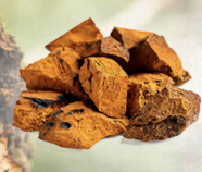 Chaga Mushroom Powder Organic Chaga Mushroom Powder Organic