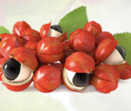 Guarana Extract Powder Organic Guarana Extract Powder Organic