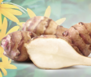 Inulin Extract Powder Organic (Jerusalem Artichoke) Inulin Extract Powder Organic (Jerusalem Artichoke)