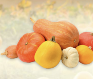 Pumpkin Powder Organic Pumpkin Powder Organic