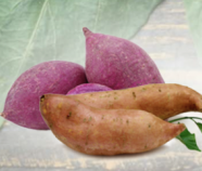 Purple Sweet Potato Powder Organic Purple Sweet Potato Powder Organic