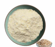 Premium Quality Oat Milk powder from Sri Lanka