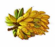 Banana Freeze Dried Powder, Organic Banana Freeze Dried Powder, Organic