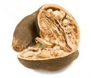 Baobab Powder, Organic Baobab Powder, Organic