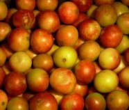 Camu Camu Powder, Organic Camu Camu Powder, Organic