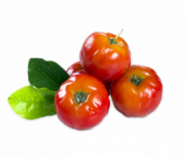 Acerola Juice Powder 12% Vit. C, Organic Acerola Juice Powder 12% Vit. C, Organic