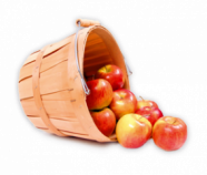 Apple Juice Powder Organic Apple Juice Powder Organic