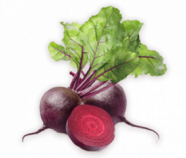 Beetroot Powder Organic Beetroot Powder Organic