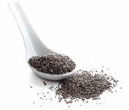 Chia Protein Powder, Organic Chia Protein Powder, Organic