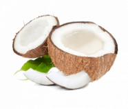 Coconut Water Powder, Organic Coconut Water Powder, Organic