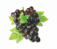 Grape Juice Powder, Organic Grape Juice Powder, Organic