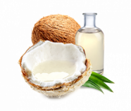 MCT Oil Powder 70%, Organic MCT Oil Powder 70%, Organic