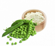 Pea Protein Powder 80%, Organic Pea Protein Powder 80%, Organic
