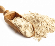 PlantPWR Protein Blend Organic unsweetened PlantPWR Protein Blend Organic unsweetened