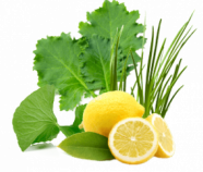 Green Balance Alkalizing Blend®, Organic Green Balance Alkalizing Blend®, Organic