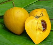 Lucuma Powder, Organic Lucuma Powder, Organic