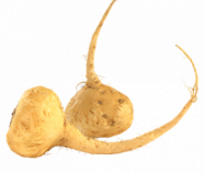 Maca root powder and MacaXtra ®, Organic Maca root powder and MacaXtra ®, Organic
