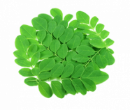 Moringa Leaf Powder, Organic Moringa Leaf Powder, Organic